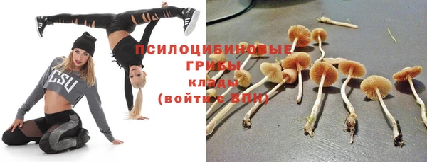 эйфоретик Алзамай