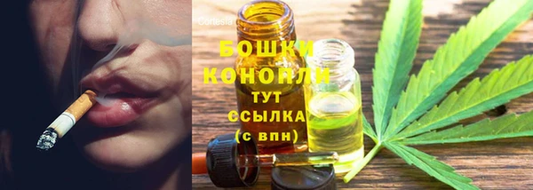 амф Новокубанск