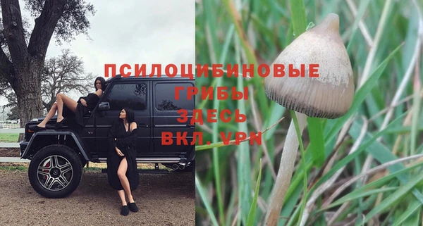 mdpv Абдулино
