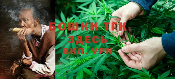 прущие грибы Абинск