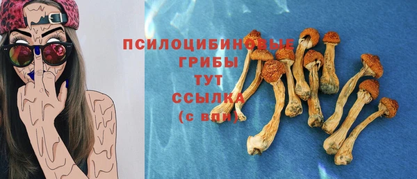 эйфоретик Алзамай
