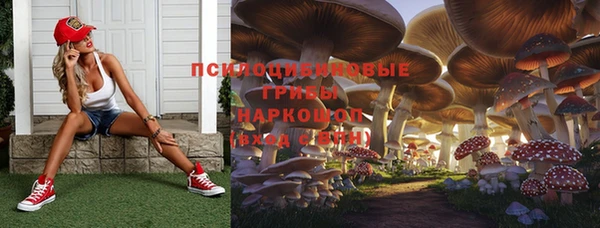 PSILOCYBIN Абаза