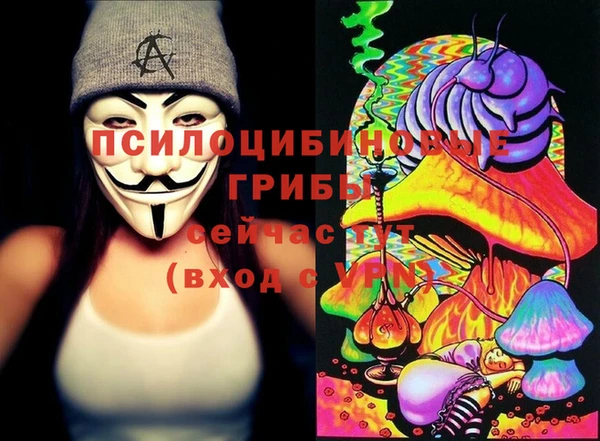 PSILOCYBIN Абаза