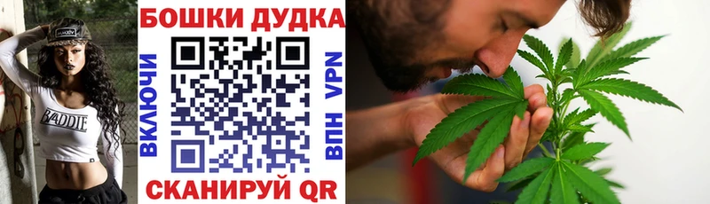 Каннабис OG Kush  цены наркотик  Нолинск 